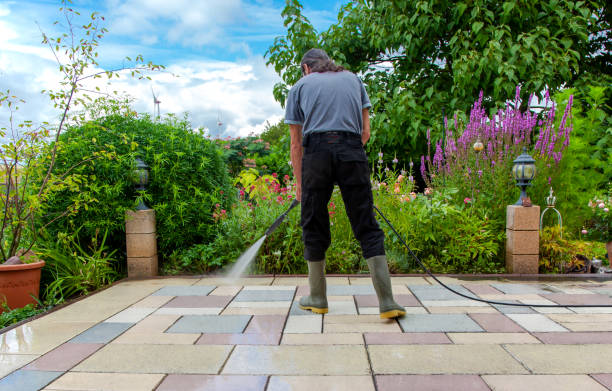 Best Winterizing Services  in New Castle, CO