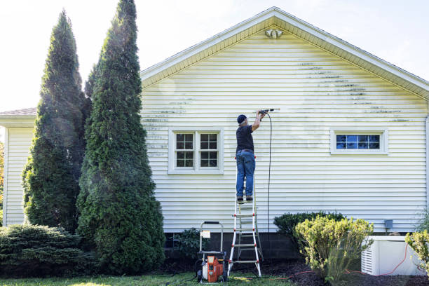 Best Dumpster Area Cleaning  in New Castle, CO